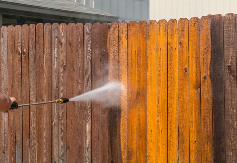 Iron Fence Pressure Washing detail