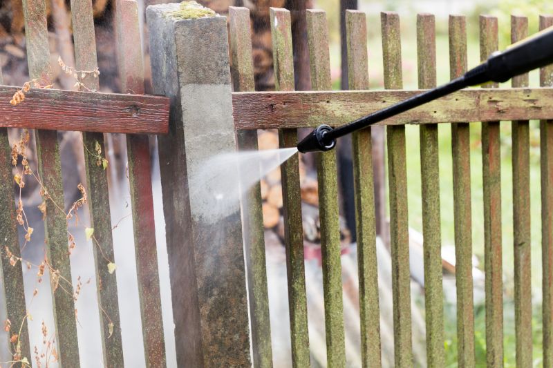 Iron Fence Pressure Washing detail