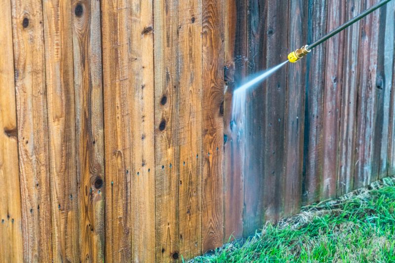 Iron Fence Pressure Washing detail
