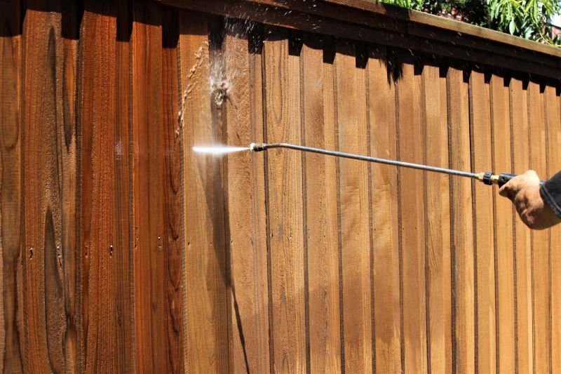 Iron Fence Pressure Washing detail